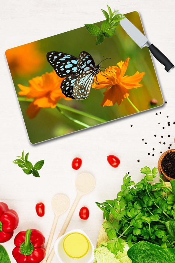 Cam Kesme Tahtası - Cam Kesme Tablası | Model 60 30 Cm X 40 Cm - 2