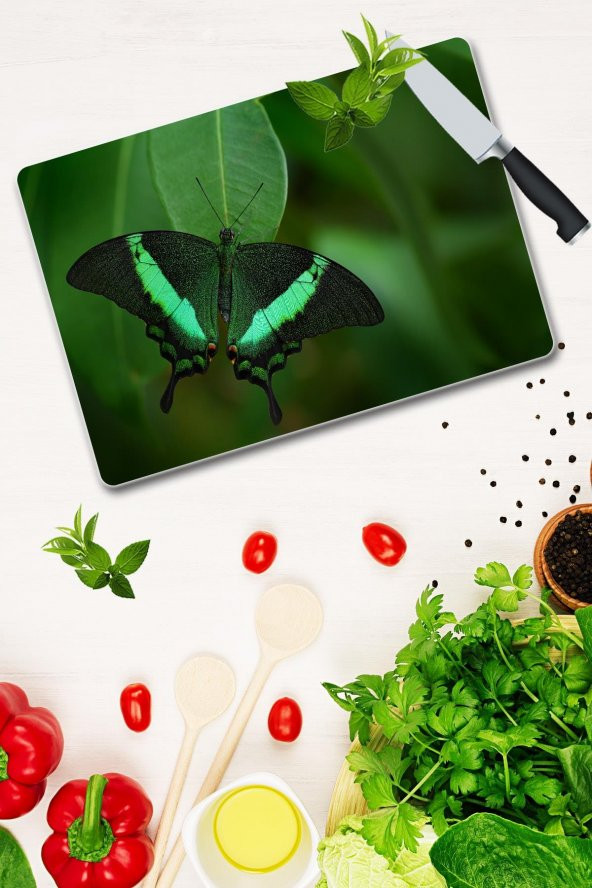 Cam Kesme Tahtası - Cam Kesme Tablası | Model 59 30 Cm X 40 Cm - Resim 2