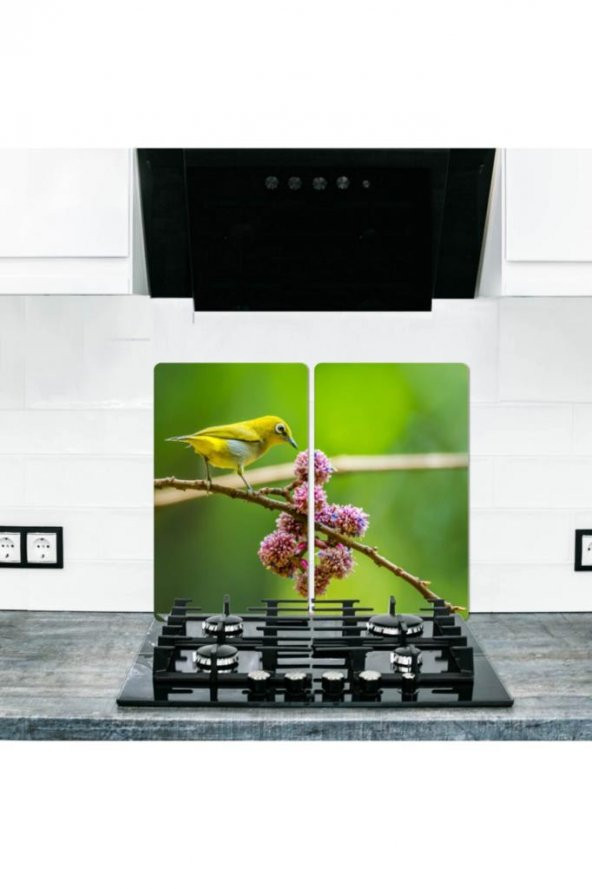 2 li 30x52 cm Cam Ocak Koruyucu Cam Kesme Tahtası Model 356 ürün görseli