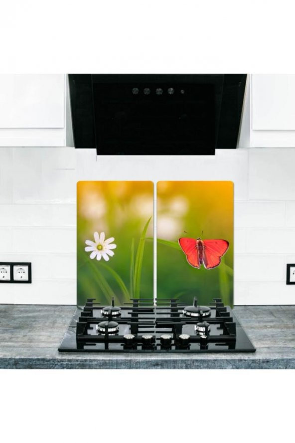 2 li 30x52 cm Cam Ocak Koruyucu Cam Kesme Tahtası Model 349 ürün görseli