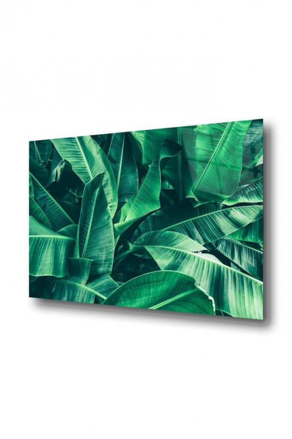 50 x 60 cm Yeşil Yapraklar Desenli Cam Tablo 4mm Temperli Camdır - 2