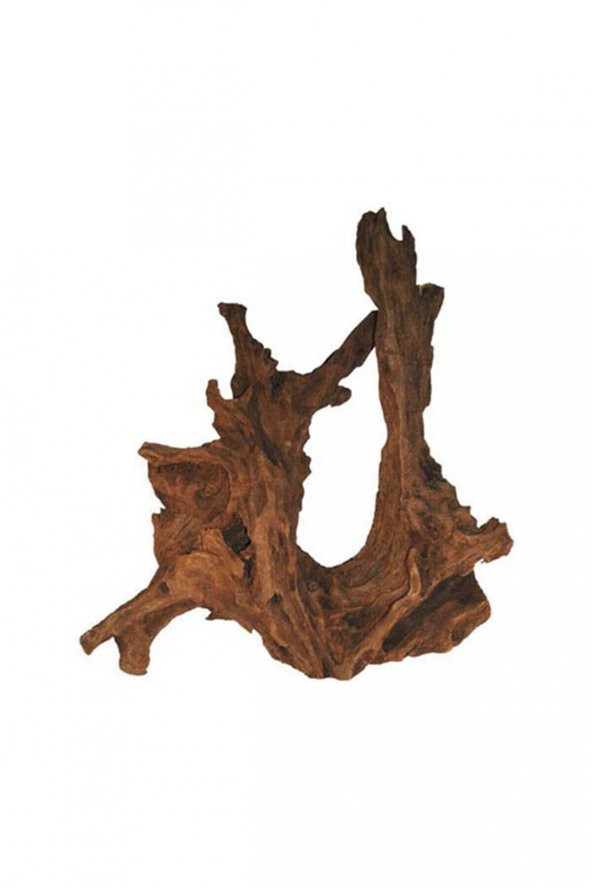 Driftwood Mangrow XL Boy 55 Cm