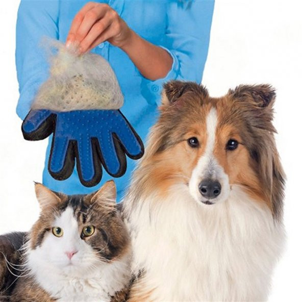 Royalist Silikon Silikon Gloves Kedi ve Köpek  İçin Tüy Toplama Eldiveni - 3