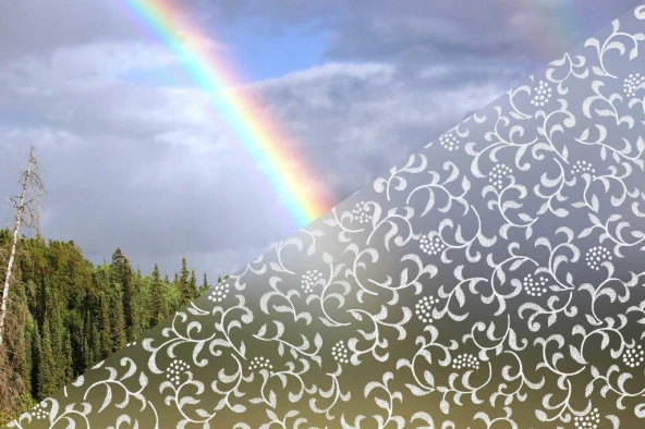 Alkor 380-0034 Sarmaşık Desen yapışkanlı Cam Folyo (45cm x 1mt) - Resim 8