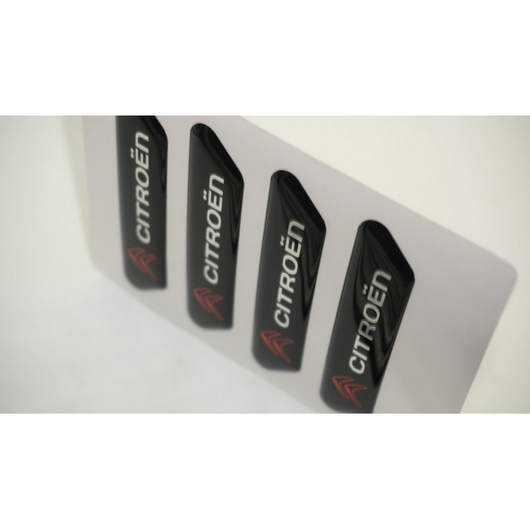 Citroen Logo C4 C4 Picasso Kapı Kenarı Koruma Metalize Damla Desen 3M Band - 5
