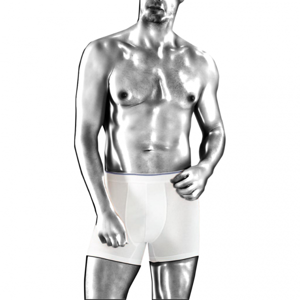 Dr N Silver Gümüşlü Erkek Boxer 12li paket  XL
