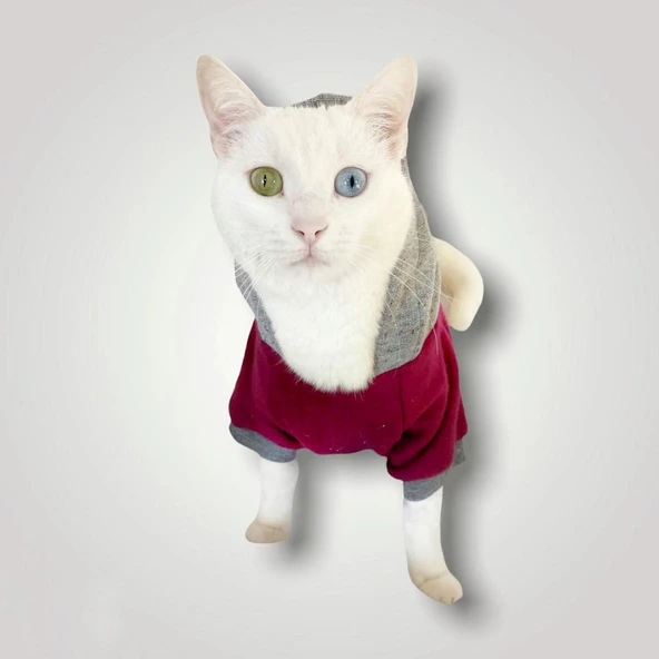 Burgundy Gray Kapşonlu Sweatshirt  Kedi Kıyafeti - Resim 3
