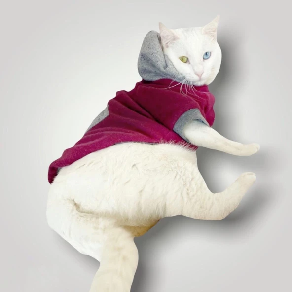 Burgundy Gray Kapşonlu Sweatshirt  Kedi Kıyafeti - Resim 2