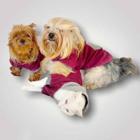 Burgundy Gray Kapşonlu Sweatshirt Köpek Kıyafeti - 7