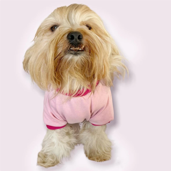 Nature Pink Oval Yaka Tişört Köpek Kıyafeti - 2