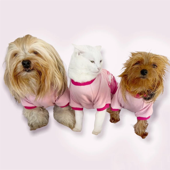 Nature Pink Oval Yaka Tişört Kedi Kıyafeti - 6