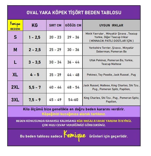 Pirate Blue Oval Yaka Tişört Köpek Kıyafeti - 4