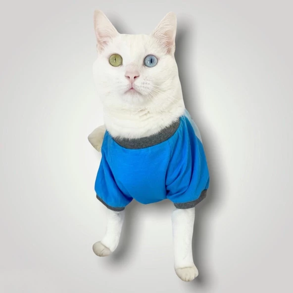 Pirate Blue Oval Yaka Tişört Kedi Kıyafeti - 7