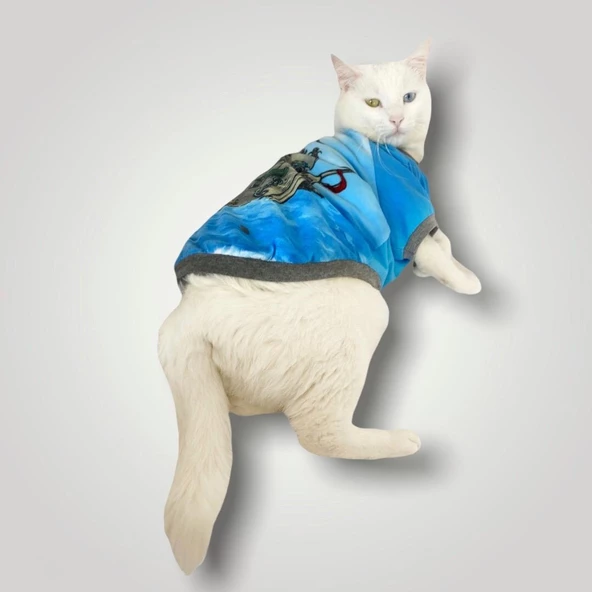 Pirate Blue Oval Yaka Tişört Kedi Kıyafeti - 3