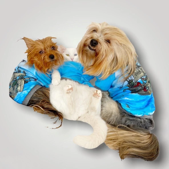 Pirate Blue Oval Yaka Tişört Köpek Kıyafeti - 8