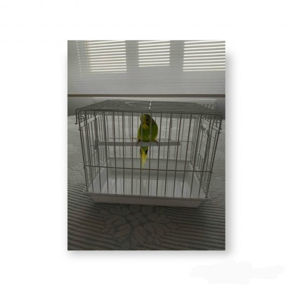 Kuş, Ginepig Taşıma Seyahat Kafesi Beyaz 20x17x23cm - 2