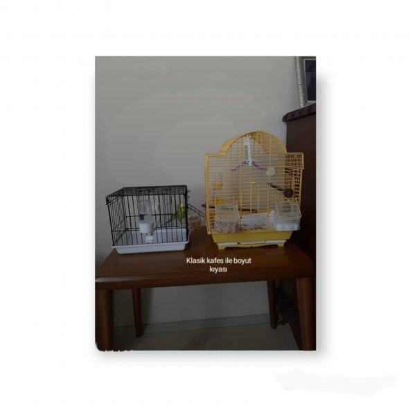 Kuş, Ginepig Taşıma Seyahat Kafesi Beyaz 20x17x23cm - 4