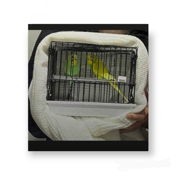 Kuş, Ginepig Taşıma Seyahat Kafesi Siyah 20x17x23cm - 5