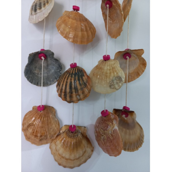 Shell Figürlü Boncuklu 4'lü Rüzgar Gülü - 2