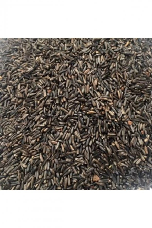 Nijer Tohumu 500 Gr Kuşlar Için Nijer Tohum Yemi Kızıştırıcı Yem