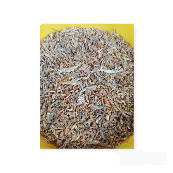 Gammarus (Kurutulmuş Karides ve Balık) Kaplumbağa Yemi 25gr (Kovadan Paketleme) - 3