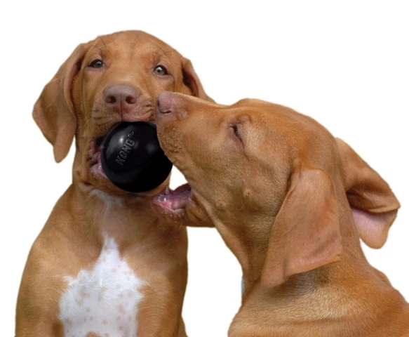 Kong Köpek Extreme Oyun Topu S 6,5cm - 2