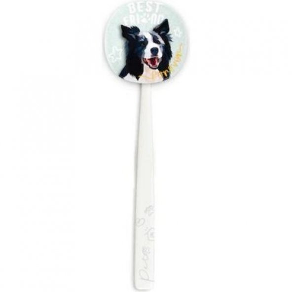 Rocs Flipper Pets Hijyenik Saklama Kabı ve Yetişkin Diş Fırçası Seti (Köpek) Beyaz