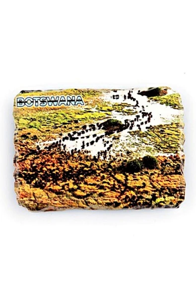 Botsvana Bufalo Temalı Kırık Magnet - Resim 3