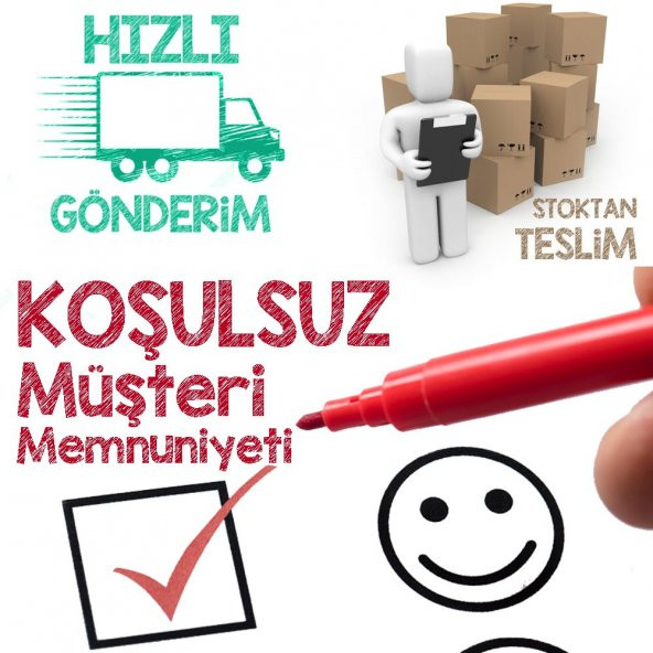 Monvillea Spegazzinii Forma Cristata Kaktüs Özel Üretim(8.5 luk Saksıda) - 2