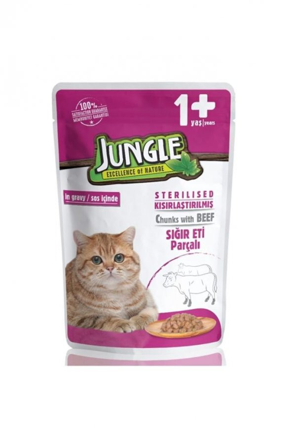 Jungle 100 gr Kısır Kedi Biftekli Jel Yaş Mama skt: 10/2023