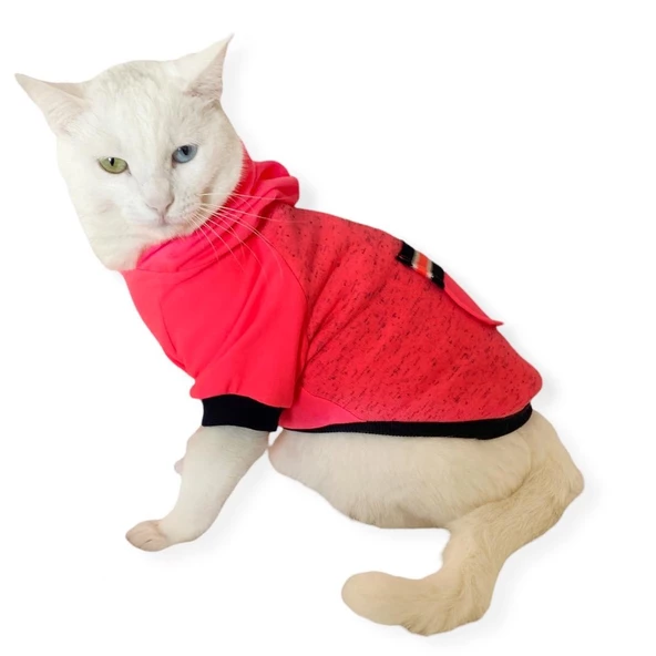Pink Stars Kapşonlu Sweatshirt  Kedi Kıyafeti - 4
