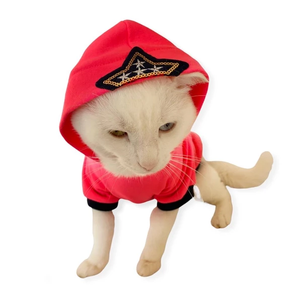 Pink Stars Kapşonlu Sweatshirt  Kedi Kıyafeti - 2