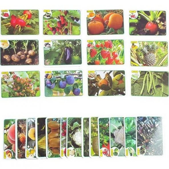 İlk 50 Meyve - Sebze Flash Cards Hafıza Kartları Lisanslı Ürün - 3