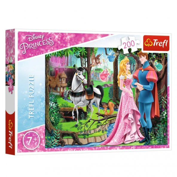 13223 Ormanda Prenses ile Buluşma 200 Parça Puzzle -Trefl Puzzle - 5