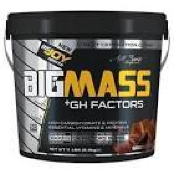 Big Joy Bigmass GH Factors Mix 5 kg