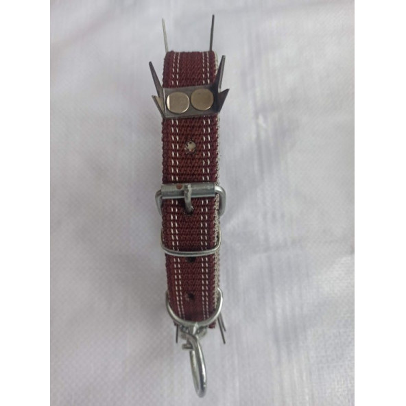 KÜÇÜK IRK ÇİFT U ÇİVİLİ DİKENLİ KORUMALI KÖPEK TASMASİ - 7
