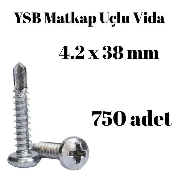 Yıldız Silindir Başlı 4.2x38 YSB Matkap Uçlu Akıllı Vida 750 Adet ürün görseli