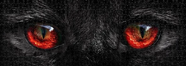 Nova Puzzle 1000 Parçalık Keskin Bakışlar Panorama Puzzle - Resim 3