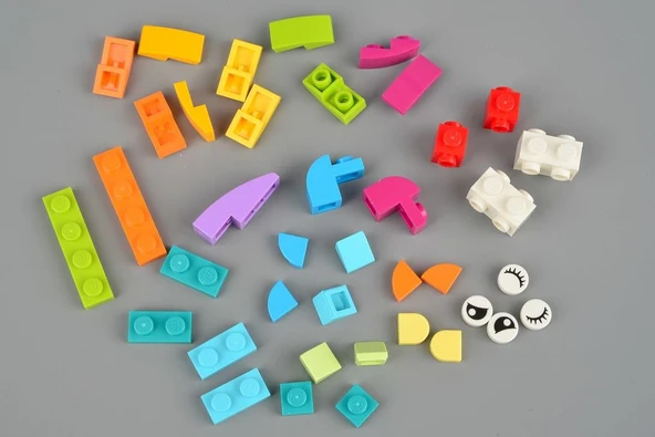 LEGO Creator 30545 Fish Free Builds - Make It Yours - Resim 3