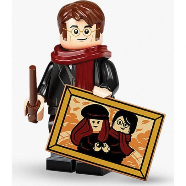 LEGO Minifigures 71028 Harry Potter Series 2 : 8.James Potter
