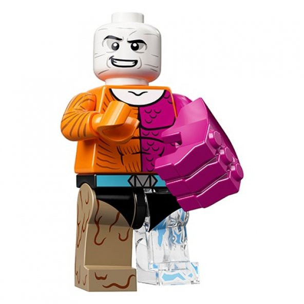 LEGO Minifigures 71026 Dc Super Heroes Series : 12.Metamorpho