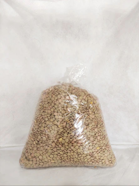 BESLENME DEDEKTİFİ Yeşil Mercimek Ata Tohumu