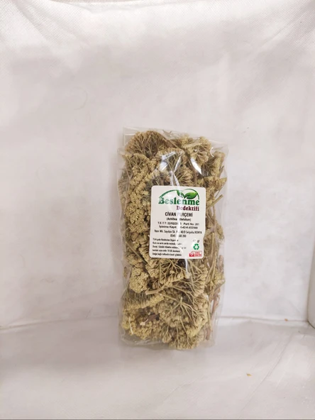 BESLENME DEDEKTİFİ Civan Perçemi (40 Gr)