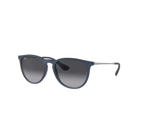 Rayban Güneş Gözlüğü RB4171 6002/8G Rayban Erika