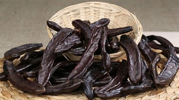 BESLENME DEDEKTİFİ Keçi Boynuzu