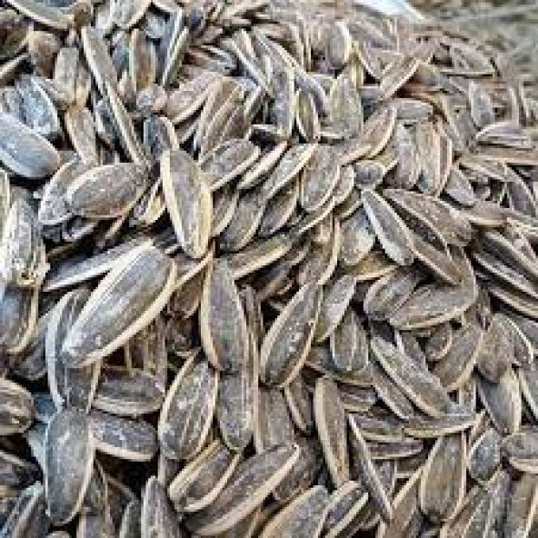 BESLENME DEDEKTİFİ Siyah Tuzlu Çekirdek (500 Gr) ürün görseli 1