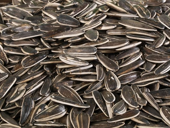 BESLENME DEDEKTİFİ Siyah Tuzsuz Çekirdek (500 Gr) ürün görseli 1