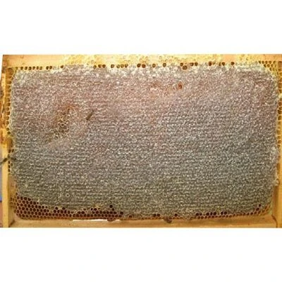 BESLENME DEDEKTİFİ Petek Çiçek Balı ürün görseli 1