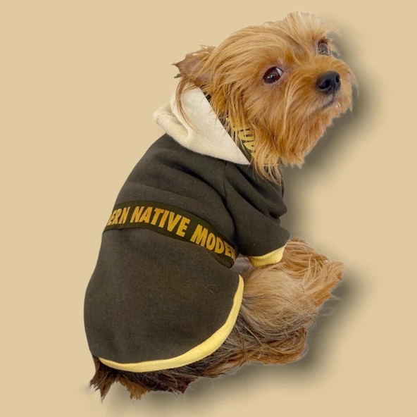 Green Modern Native Kapşonlu Sweatshirt Köpek Kıyafeti