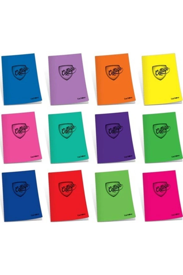 Çınar College Kaye Defter (Dikişli) A4 Plastik Kapak Çizgili Defter 60 Yaprak 60/1 (12 Adet)
